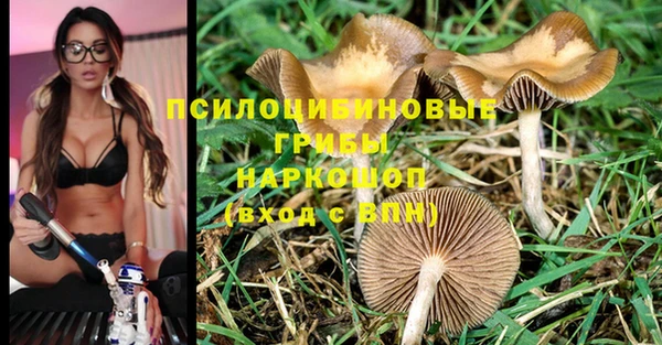 дмт Баксан