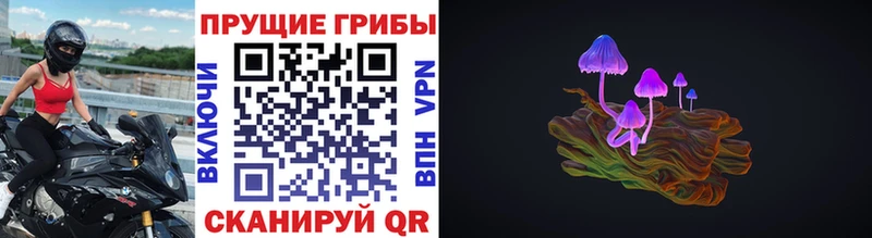 Псилоцибиновые грибы Psilocybine cubensis MEGA зеркало Ессентуки