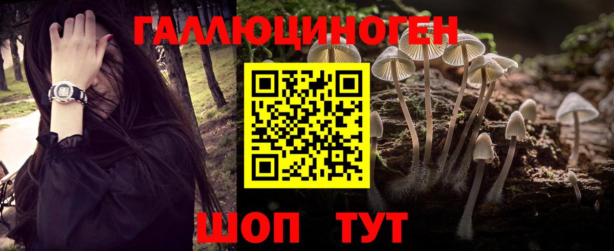 Ессентуки  Псилоцибиновые грибы Magic Shrooms  Вход с VPN  Галлюциногенные грибы MAGIC MUSHROOMS 